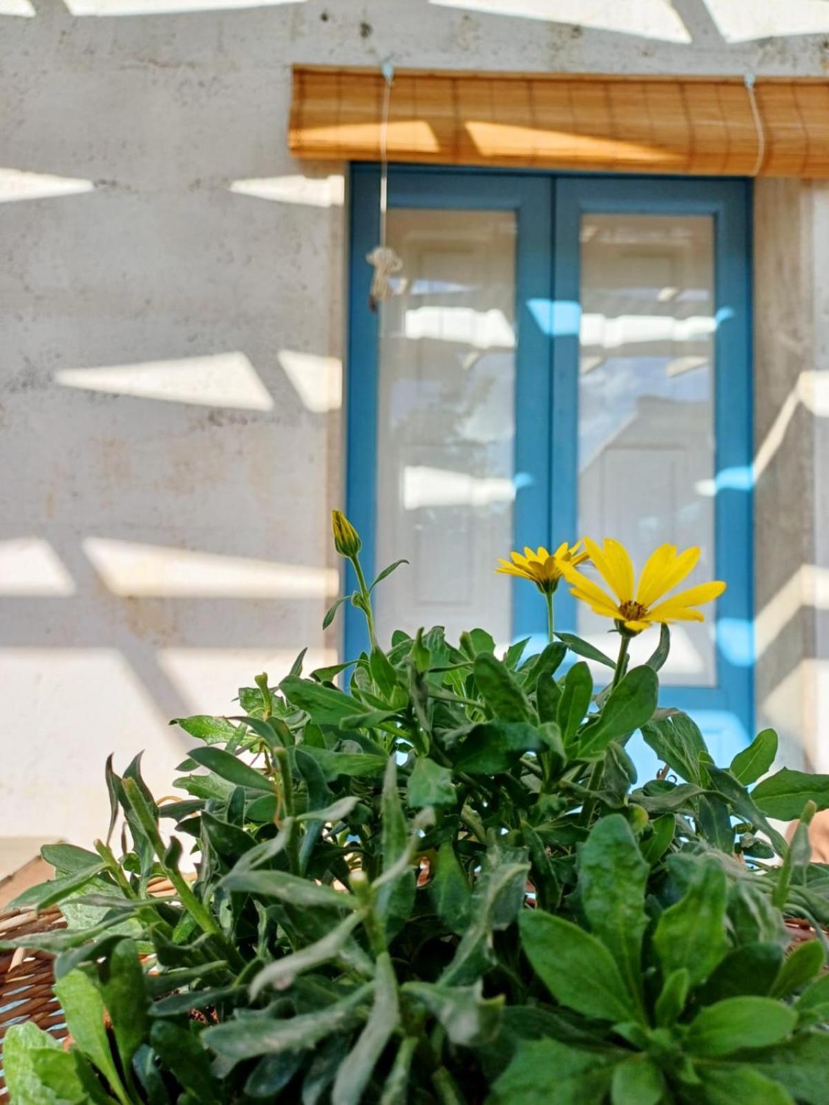 Casina La Tajata Villa Мандурия Екстериор снимка